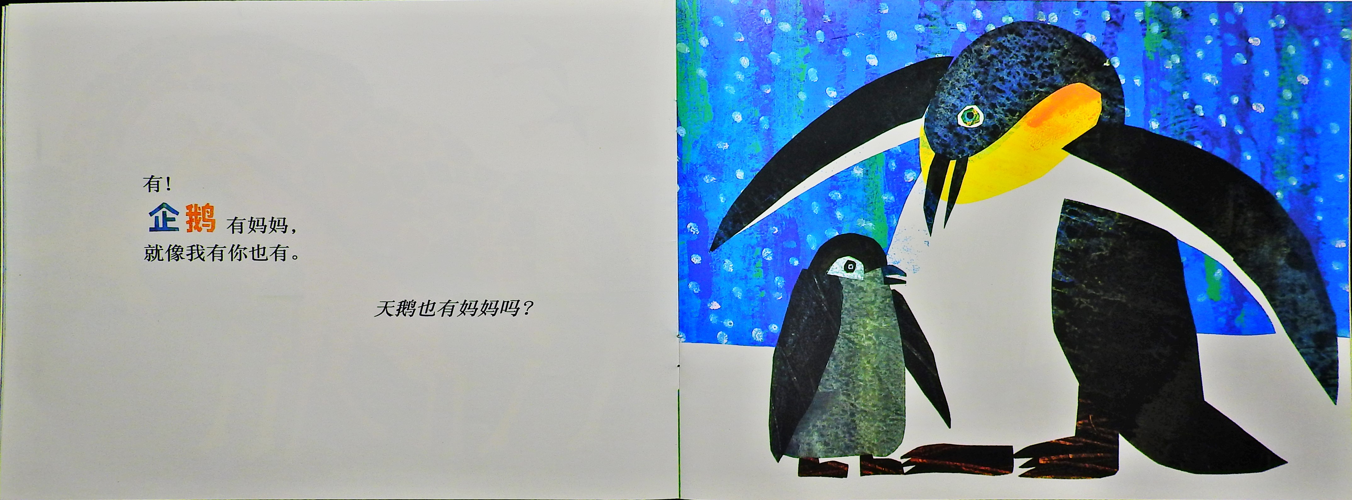 袋鼠也有妈妈吗？ (07),绘本,绘本故事,绘本阅读,故事书,童书,图画书,课外阅读